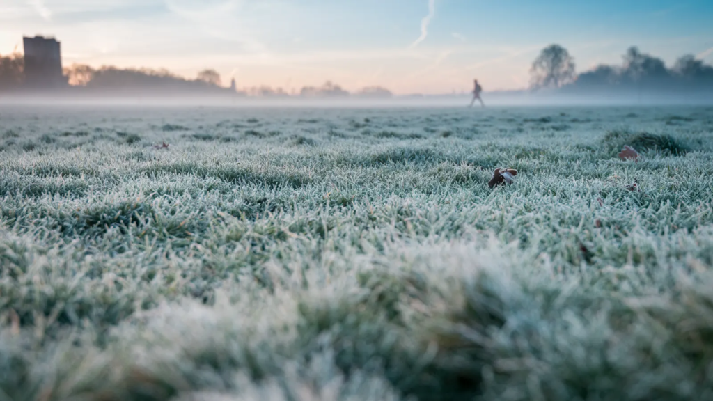 Guaíra - 97.7 - Santa Rosa - RS — Massa de ar polar provoca geada generalizada no Estado; temperaturas devem variar entre -2°C e 18°C ao longo do dia Fonte: Jornal Noroeste