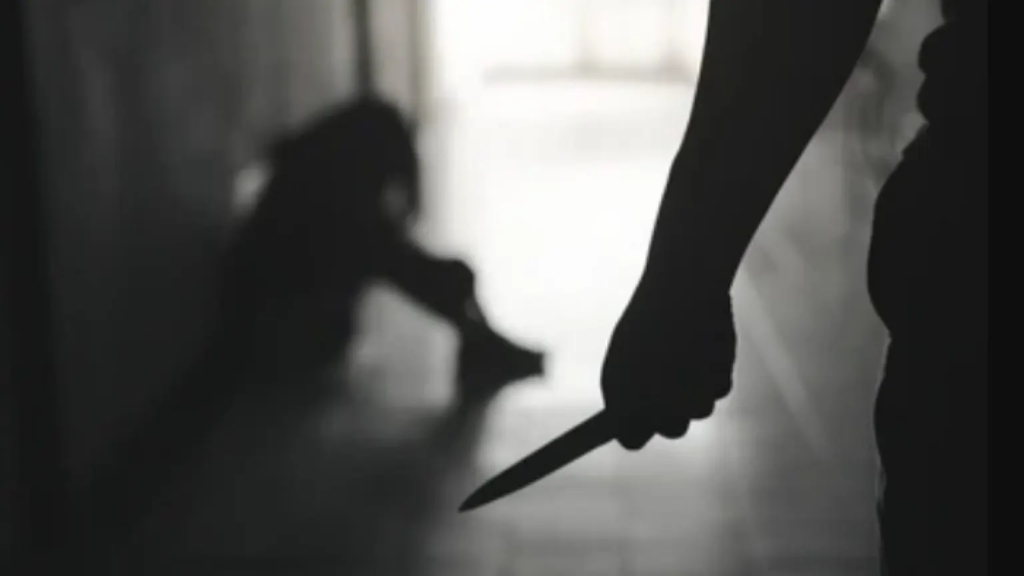 Guaíra - 97.7 - Santa Rosa - RS — Levantamento aponta que 87% das mulheres que vivenciaram situações de violência não reconheceram ou não nomearam espontaneamente essas experiências como violência. Fonte: Jornal Noroeste